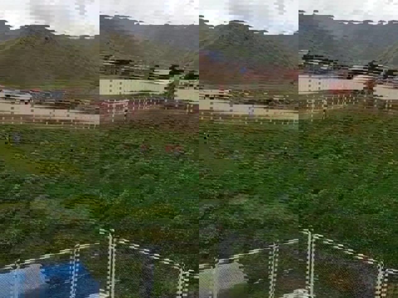 2006358