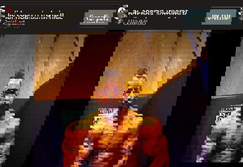 گرگ پارسی در آستانه ورود به باشگاه خاص / هادی چوپان به دنبال انتقام: ببر و جاودانه شو 2