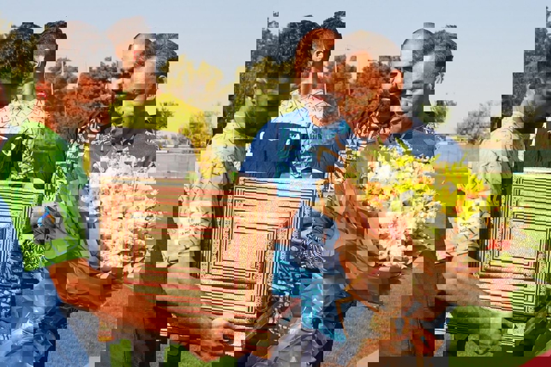 2016078