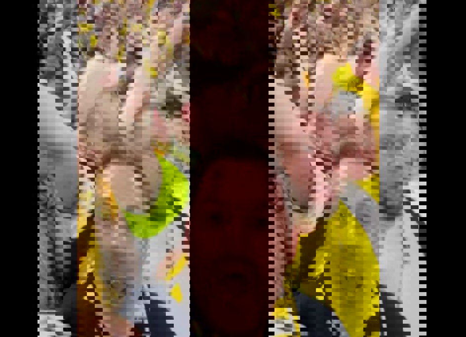 2017528