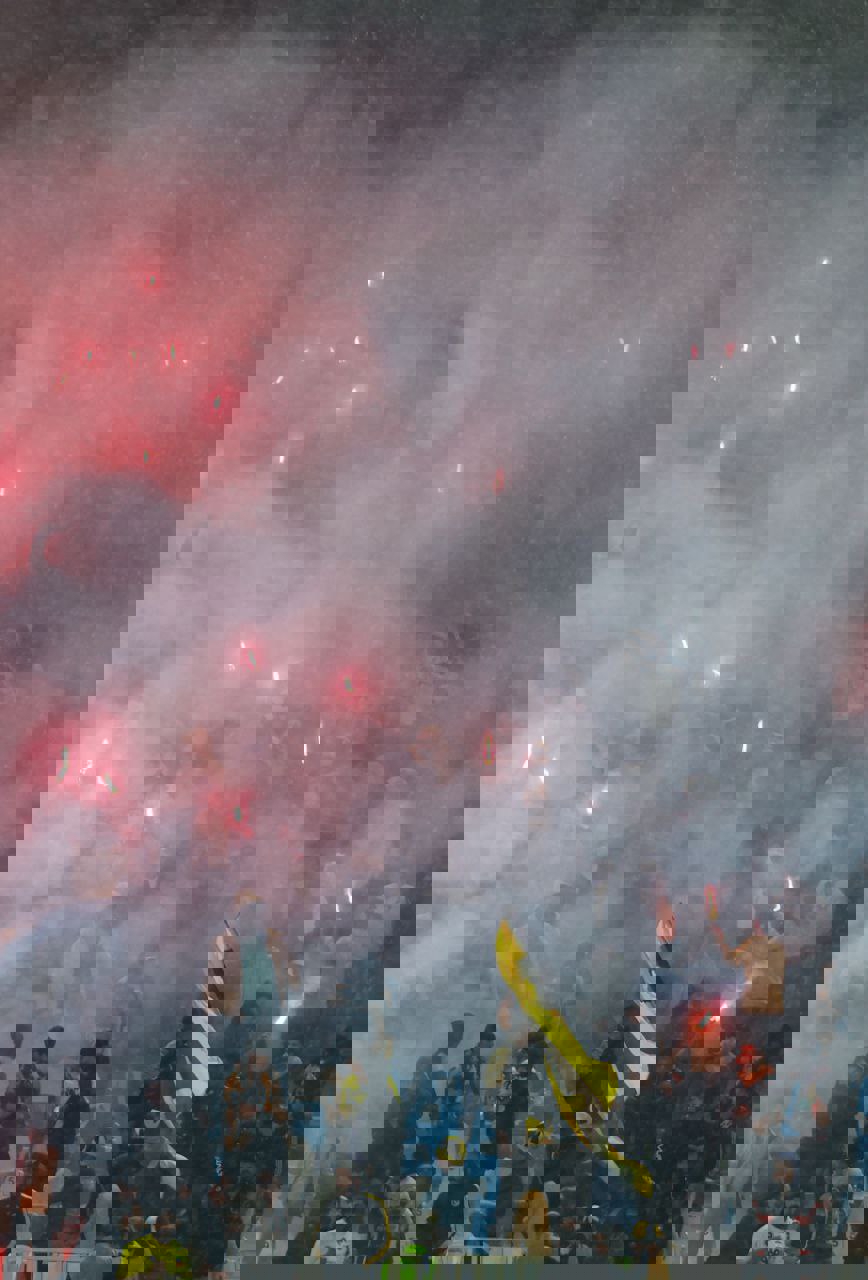 2019043