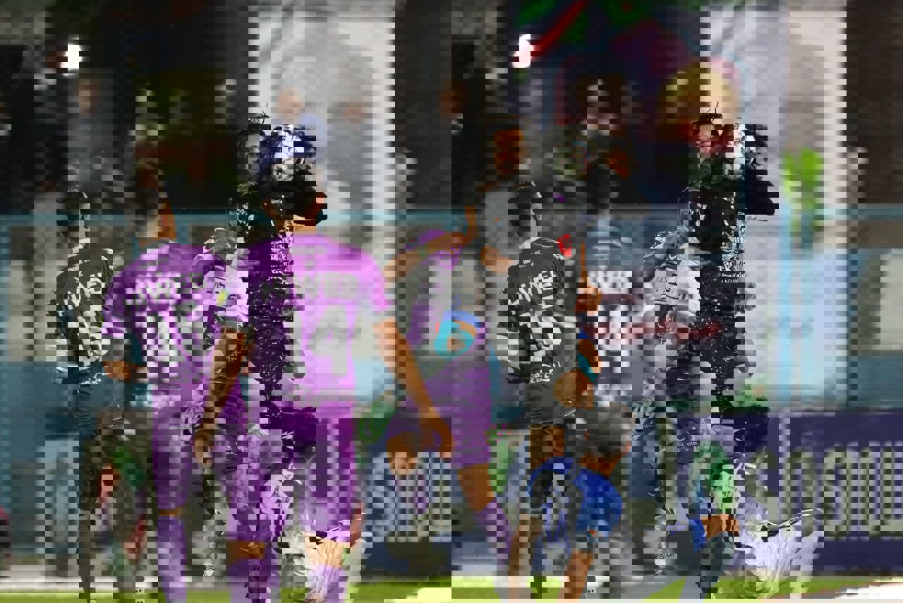 2019262