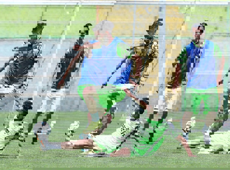 2020041