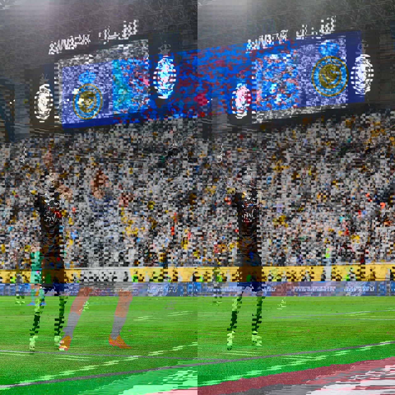 2023028