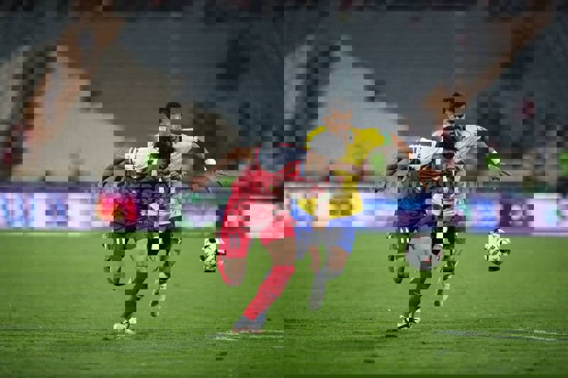 2023517