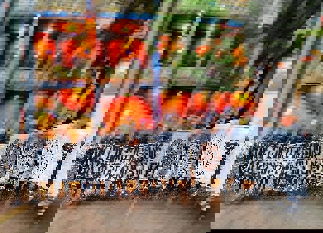 2024417