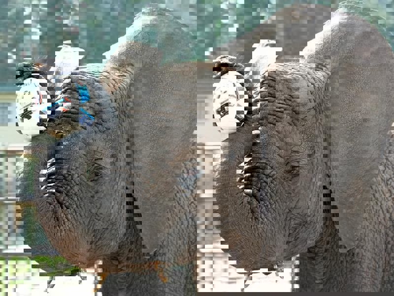 2042513