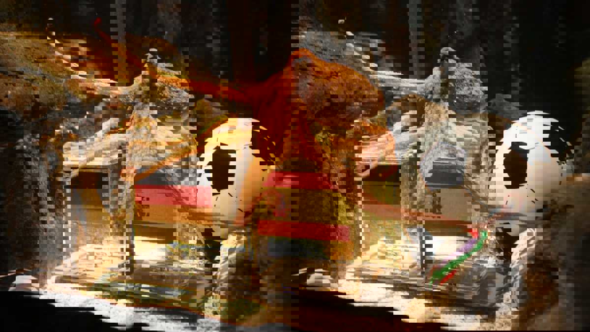 2042509
