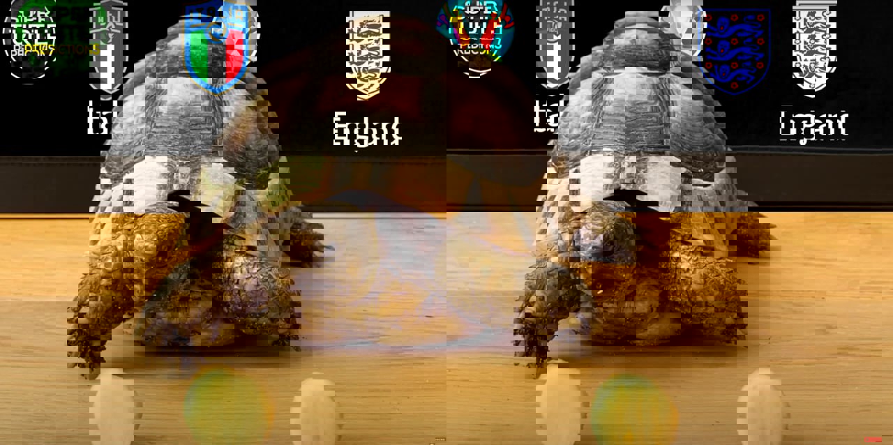 2042516