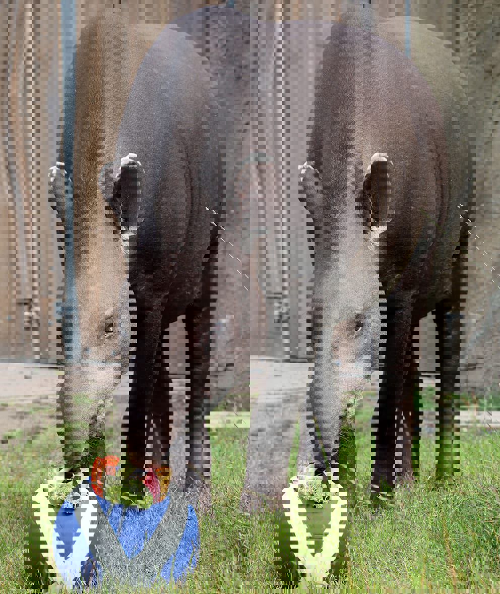 2043445