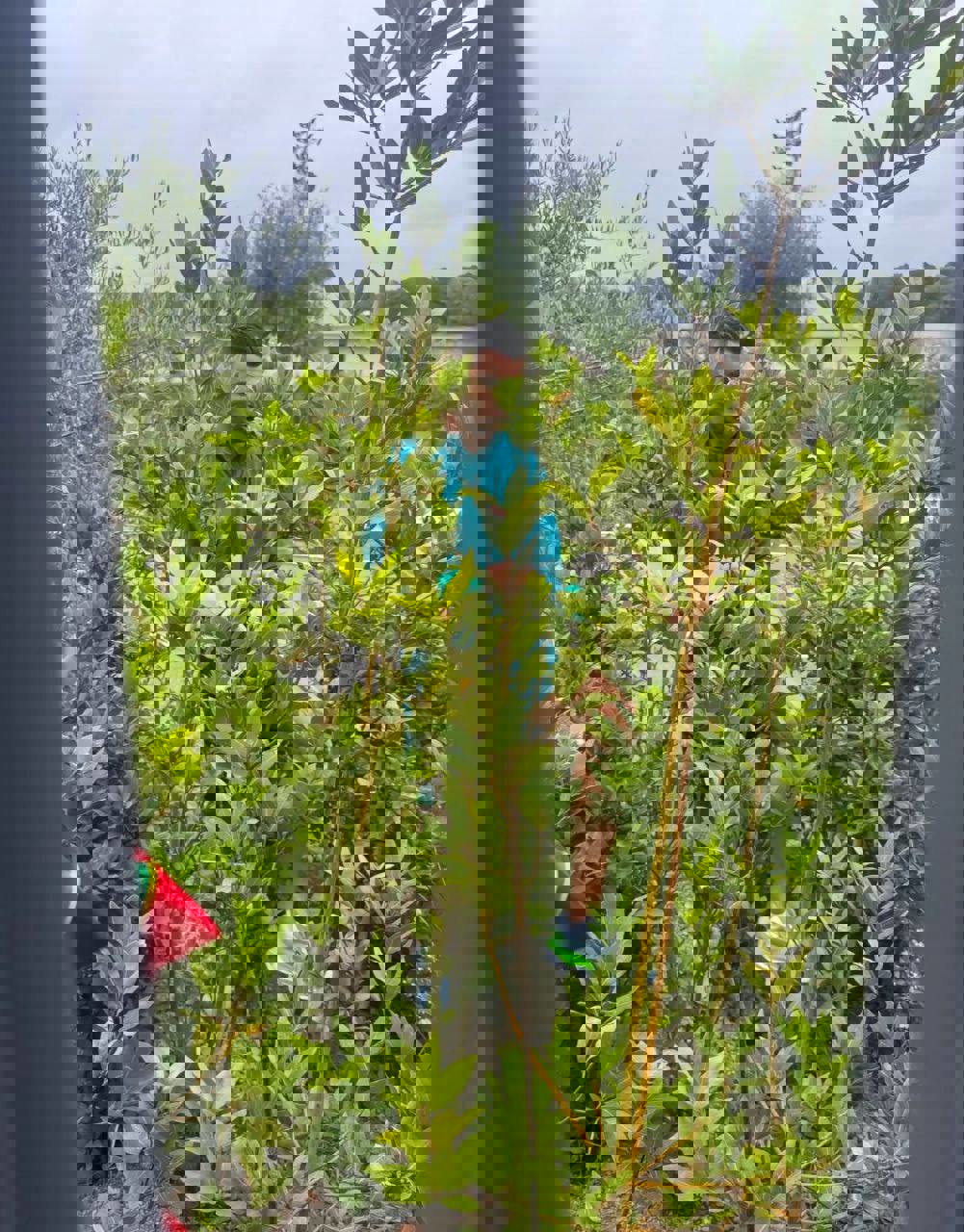 2045045