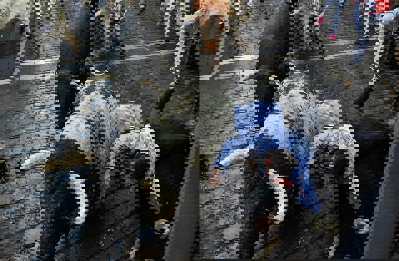 2052027