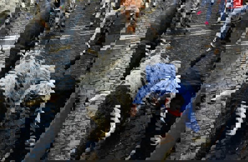 2052027