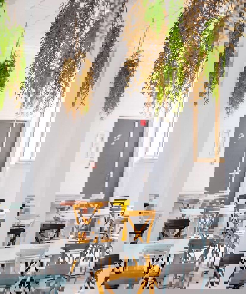 2055531