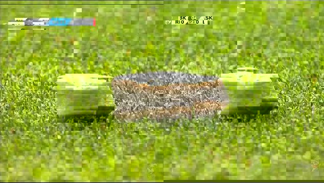 2056649