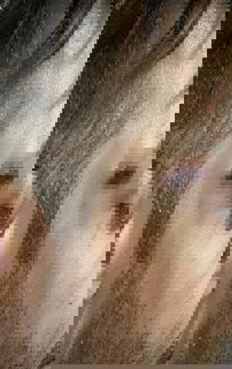 2058590