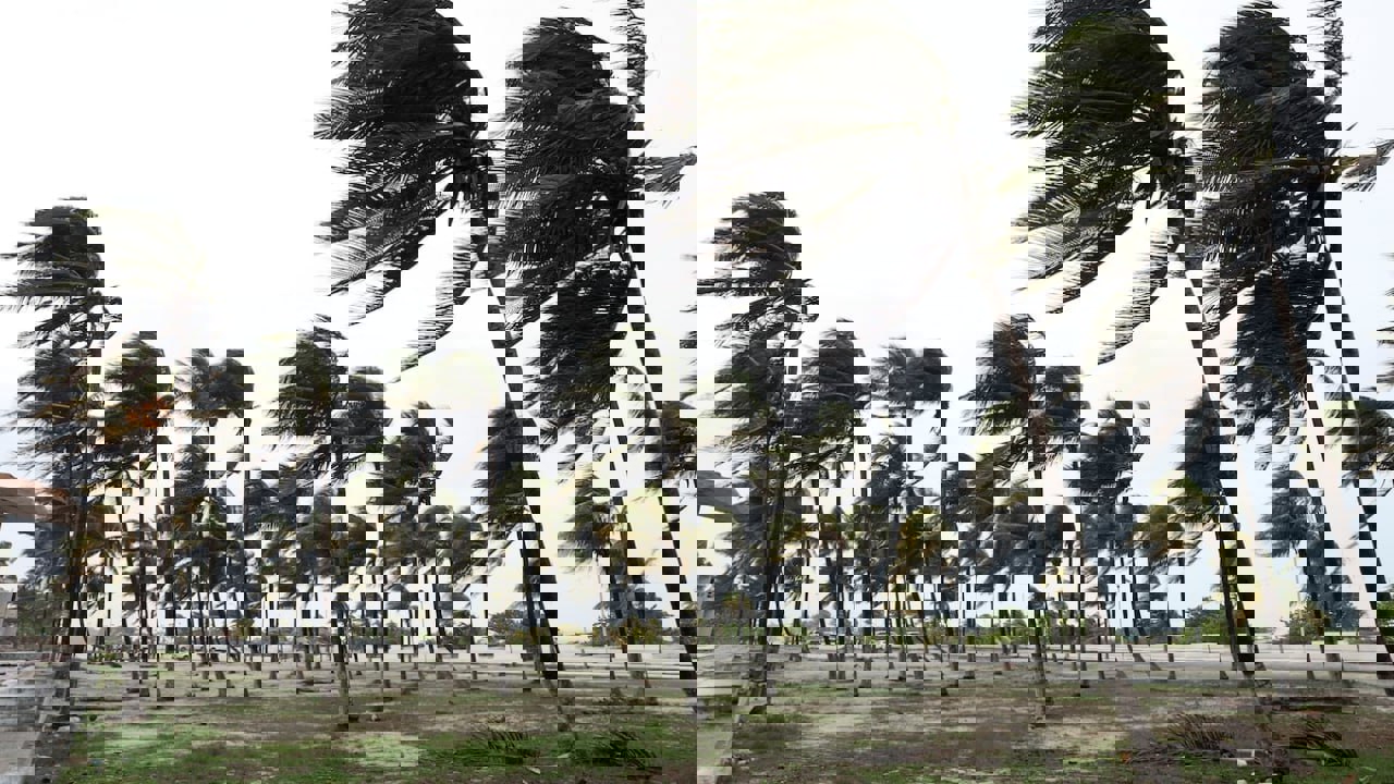 2059700