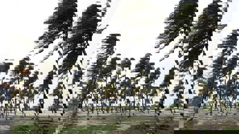 2059700