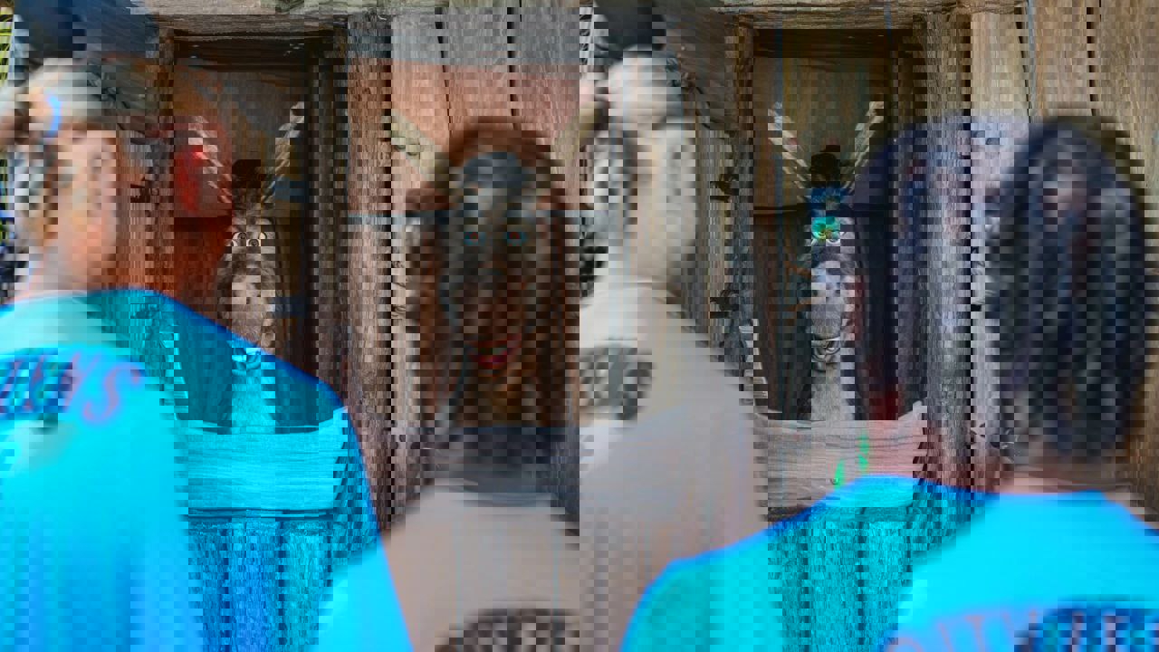 2060418
