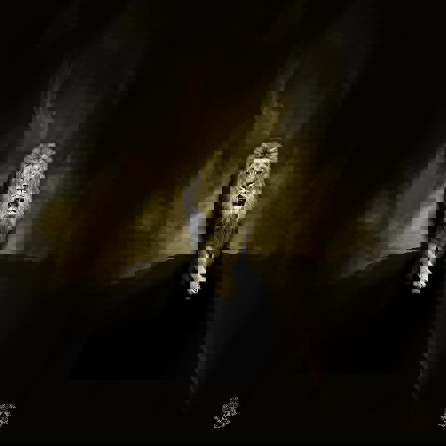 2066214