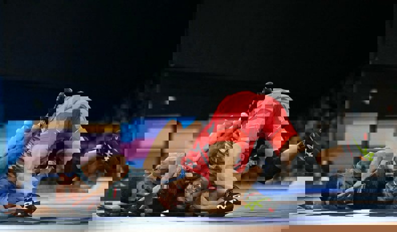 2066733