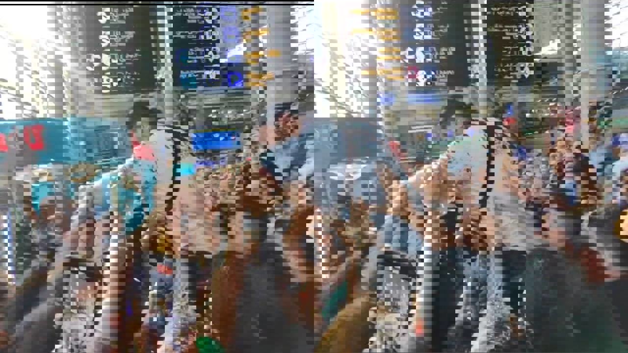 2068070