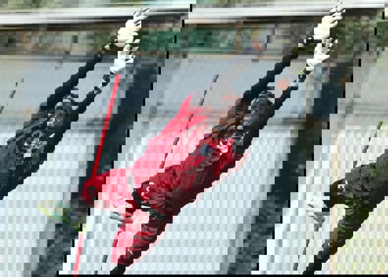 2068221