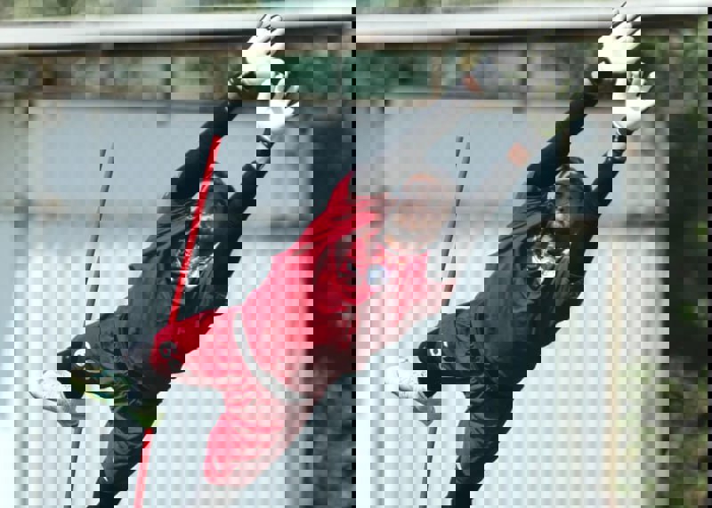 2068221