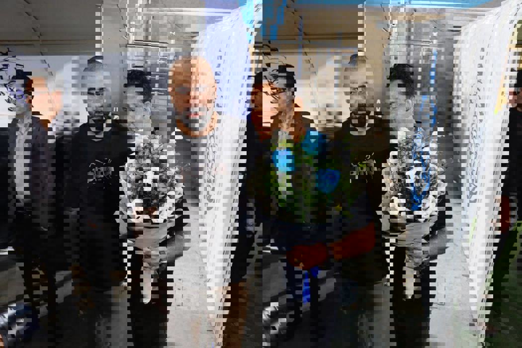 2068537