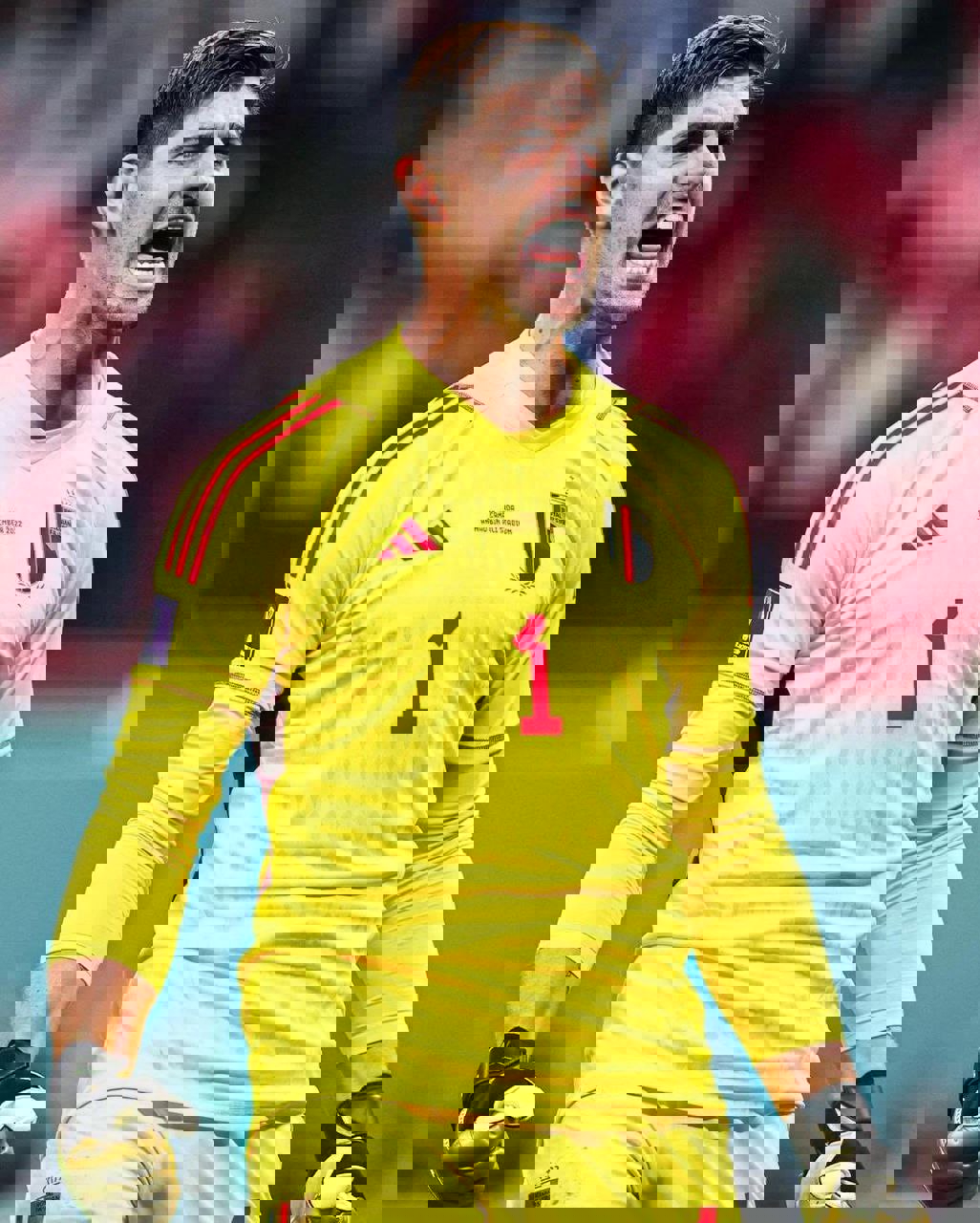 2071419