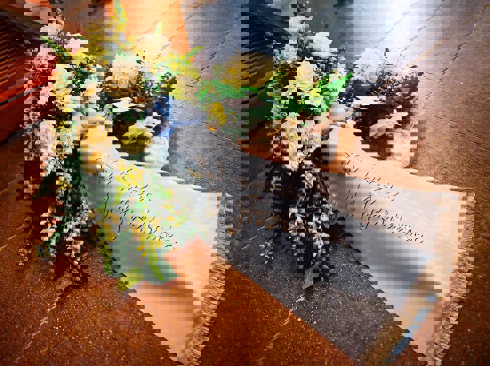 2080646