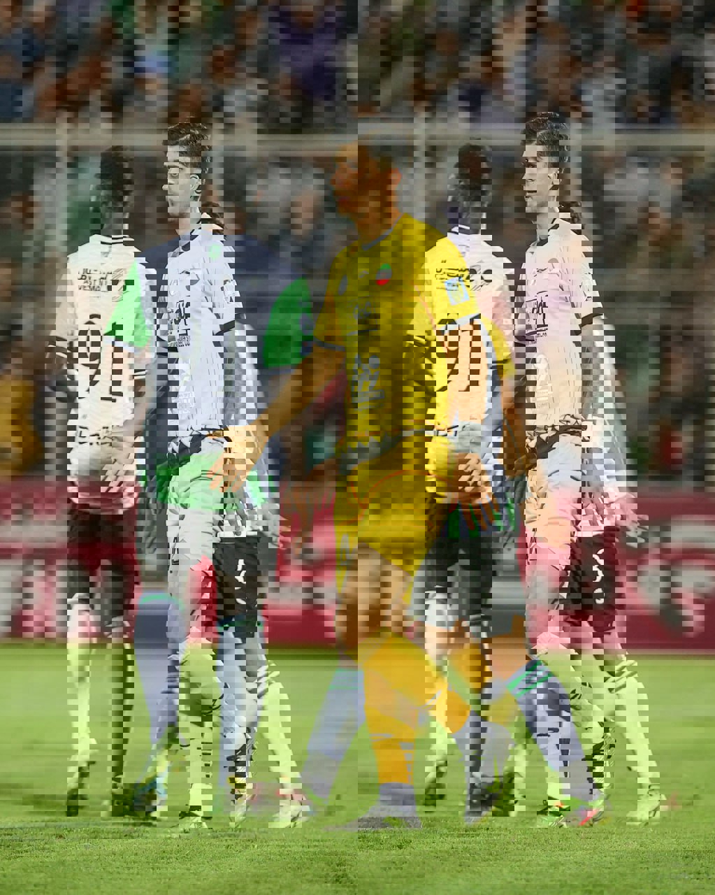 2081334