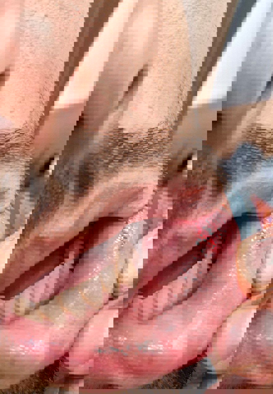 2084945