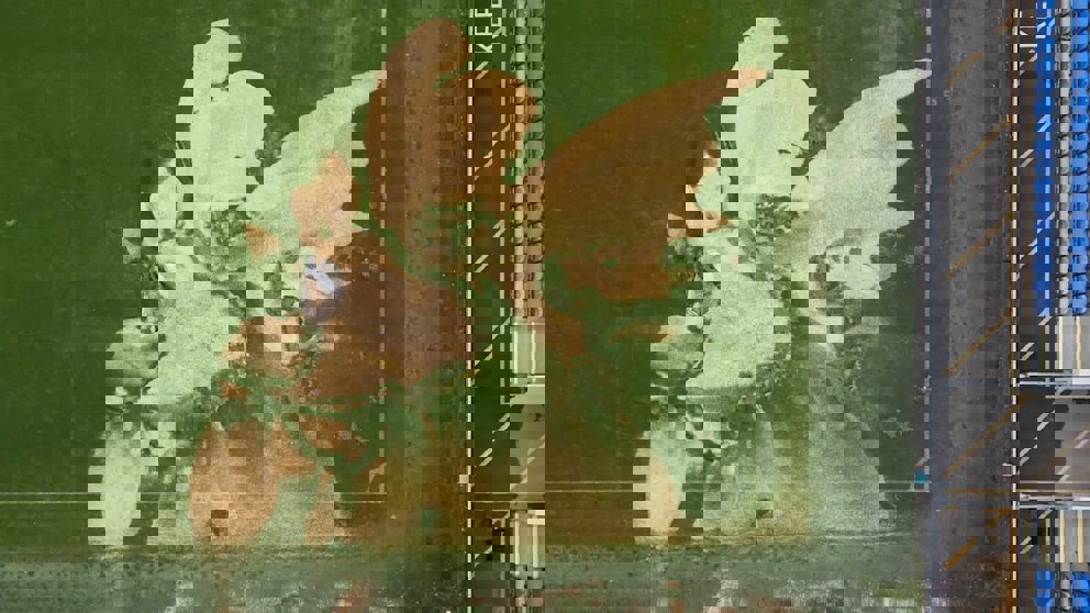 2085605