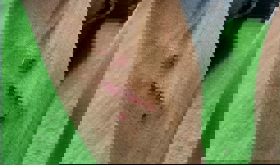 2086468