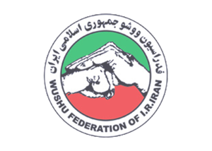 کمیته فنی جدید فدراسیون ووشو معرفی شد