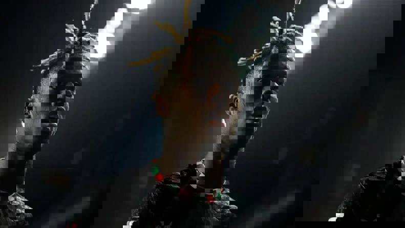 2118116