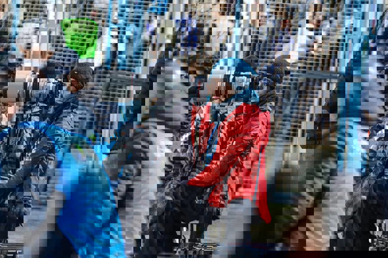 2121604