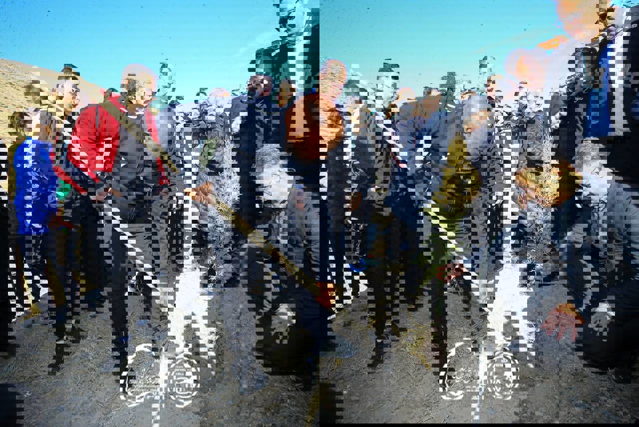 2124586