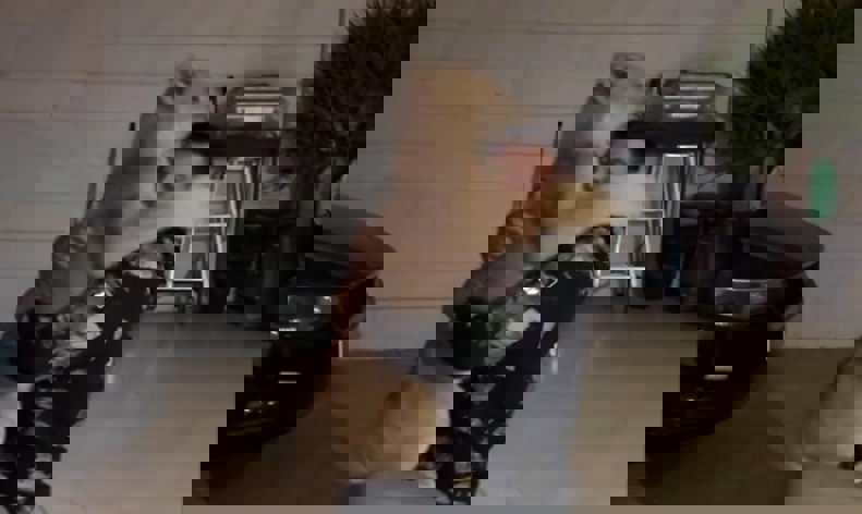 2126280