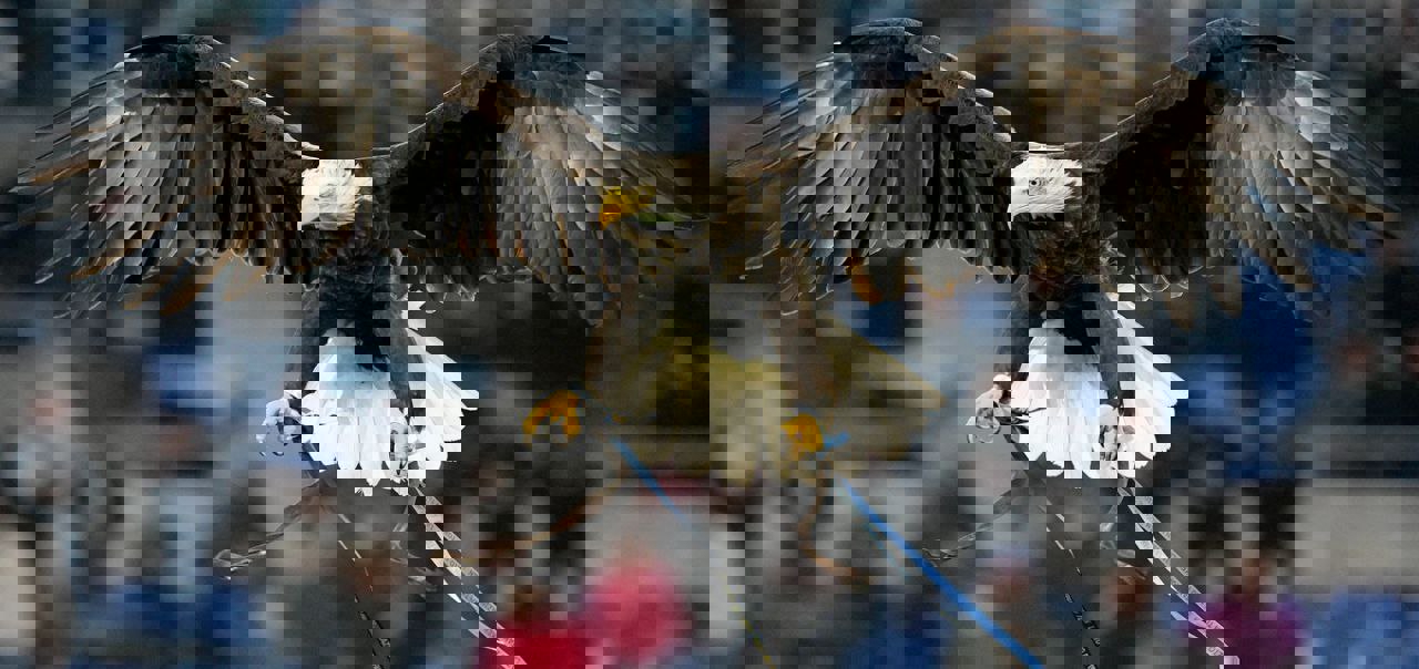 2134257