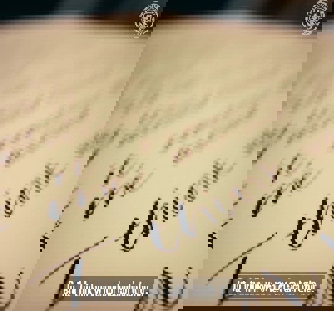 2135681