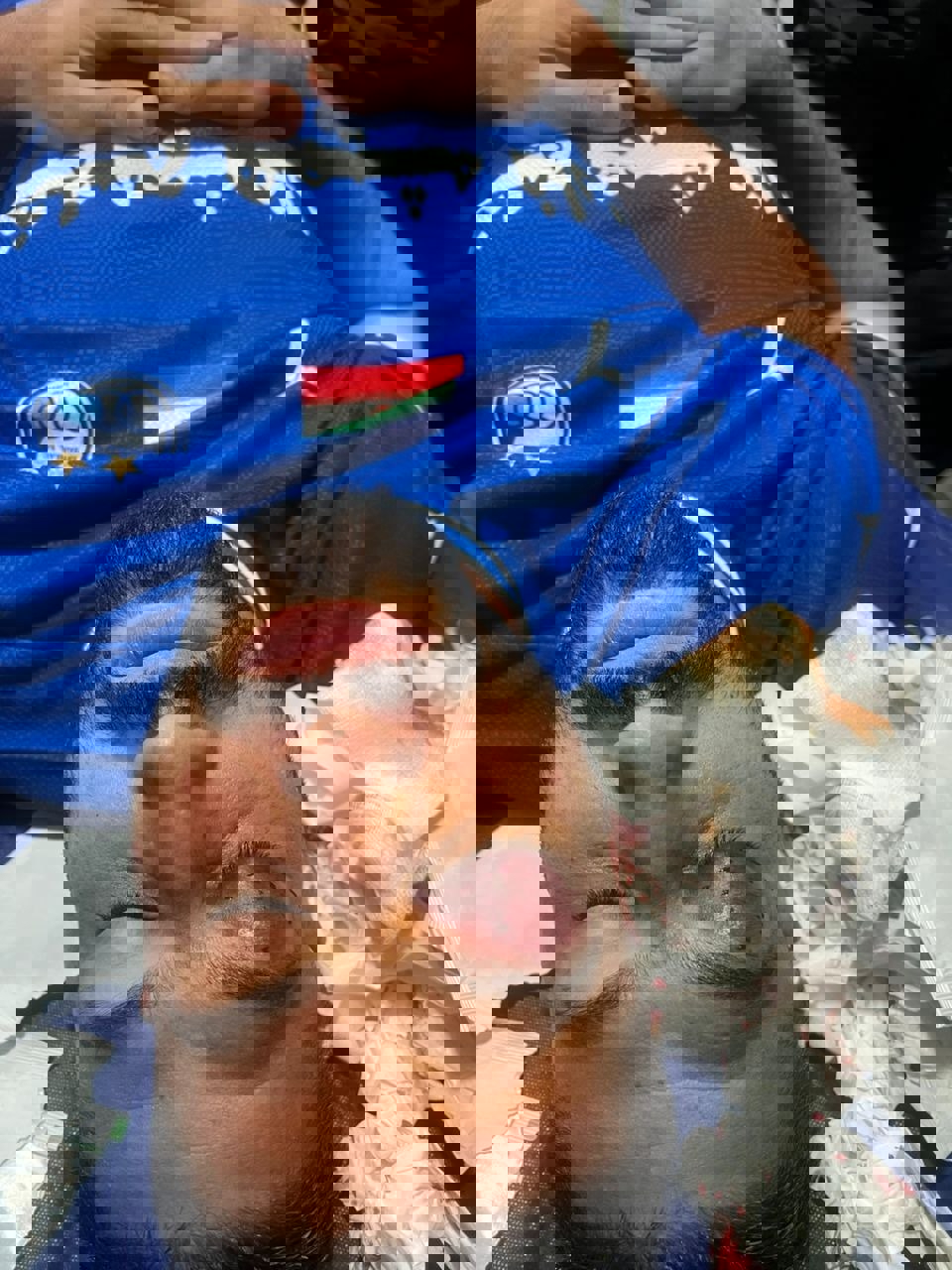2137263