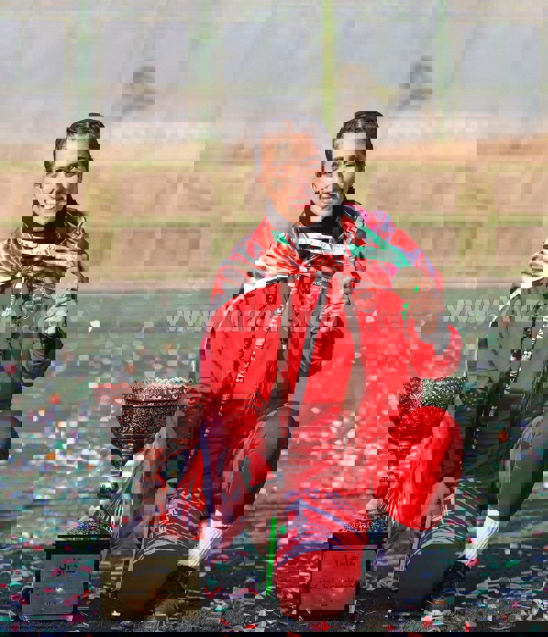2146216