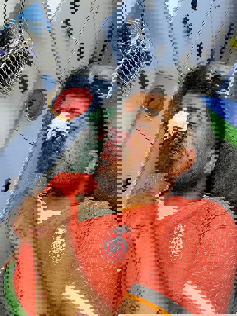 2151113