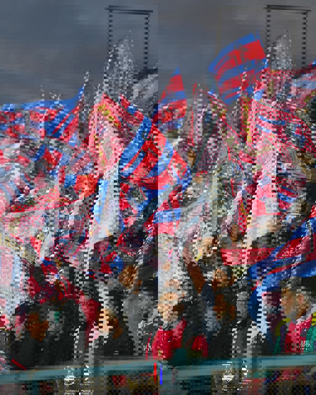 2159126