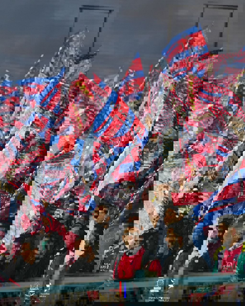 2159126