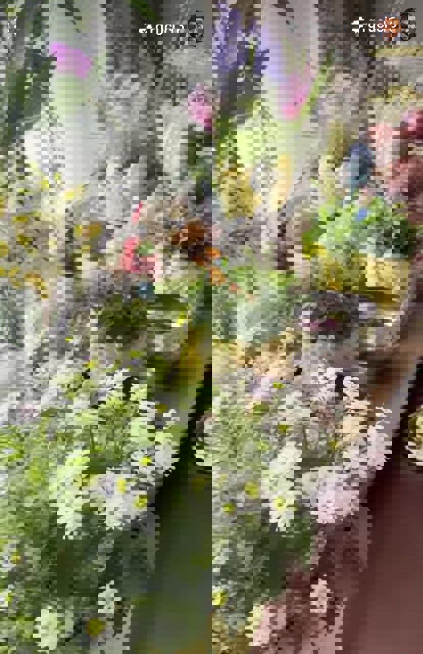 2163722