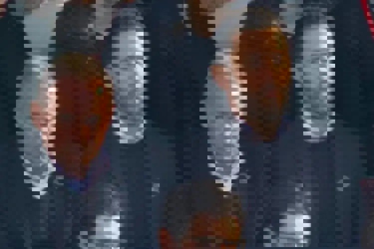 2169951