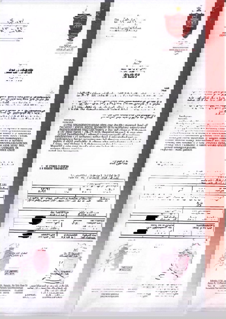 2173338